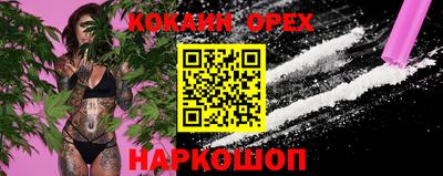 сатива Краснознаменск