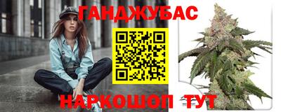 сатива Краснознаменск