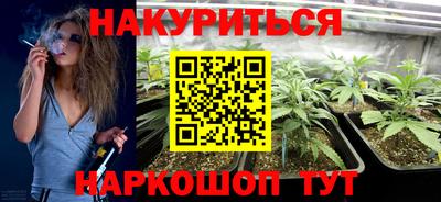 сатива Краснознаменск