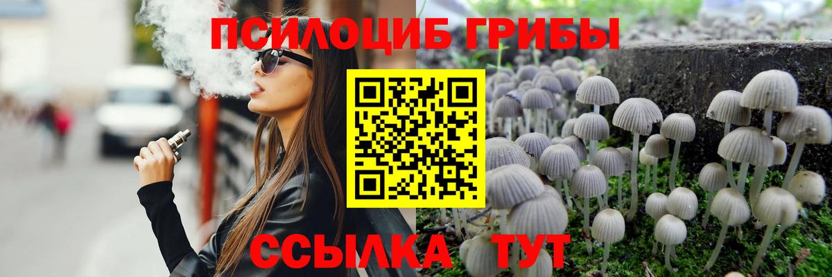 Галлюциногенные грибы Psilocybine cubensis  купить наркоту  Псилоцибиновые грибы Cubensis  Кашира  Вход с VPN 